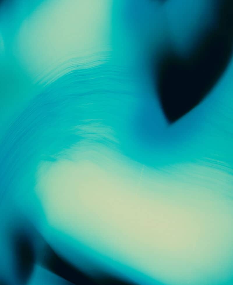 Bois Obscur