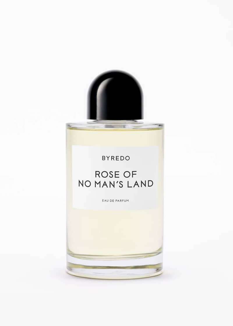 Rose Of No Man's Land